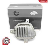 ESEN SKV Controlador Balasto Compatible Para BMW X1 X2 F48 F39