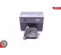 ESEN SKV Controlador De Balasto Compatible Para BMW 3 Gran Turismo F34