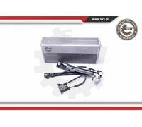 ESEN SKV Elevalunas Frontal Derecho para Seat Ibiza IV 6J5 6P1 6J8