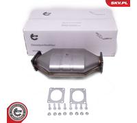 ESEN SKV Filtro de Partículas Diesel Apto para BMW 5er E60 E61 E65 E66 E67 E53