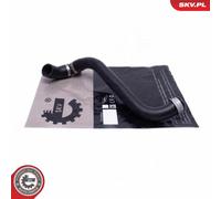ESEN SKV Manguera Enfriador de Agua Apto para Mercedes Clase E W211 S211