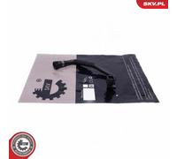 ESEN SKV Manguera Enfriador de Agua para BMW 3er Touring 4 Gran Coupe F31 F36