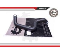 ESEN SKV Manguera Enfriador Tubo Admisión para MERCEDES-BENZ CLASE S W221