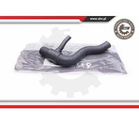 ESEN SKV Manguera Inferior para Mercedes-Benz Sprinter 2-T Caja 24SKV302