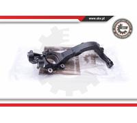 ESEN SKV Mangueta Suspensión de Ruedas Frontal Derecho Apto para Audi A6 4B C5