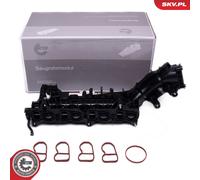ESEN SKV Módulo Colector Admisión para BMW 2 Active Tourer X2 MINI Mini F45