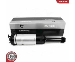 ESEN SKV Muelle de Aire Delant. Ambos Lados para Land Rover Discovery IV Range