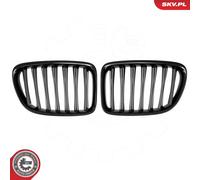ESEN SKV Parrilla De Radiador Brillante Negra Para BMW X1 E84