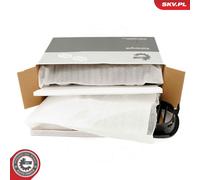 ESEN SKV Parrilla De Radiador Carbono Compatible Para BMW 5 Series E39