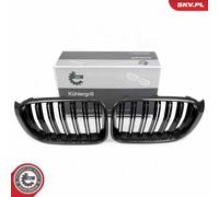 ESEN SKV Parrilla De Refrigeración Carbono Para BMW X3 F25 X4 F26