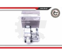 ESEN SKV Pinza Freno Trasero Derecho Sistema de Brembo para Iveco Daily III