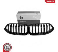 ESEN SKV Rejilla De Radiador Delante Para BMW 8 Cabriolet G14 F91