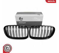 ESEN SKV Rejilla delantera doble negra brillante para BMW Serie 7 F01 F02 F03
