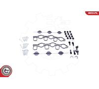 ESEN SKV Reparación Módulo Colector de Admisión para Audi A6 Allroad VW ,Touareg