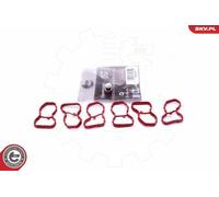 ESEN SKV Reparación Módulo Colector de Admisión para BMW X3 5er Touring F25 F11