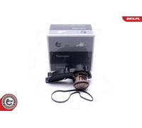 ESEN SKV Termostato Refrigerante Apto para Audi A6 4F2 C6 4F5 4FH 8H7 B6 8HE B7