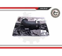 ESEN SKV Tubo Admisión Apto para BMW 3er E46 318i 316i X5 E53 3.0d