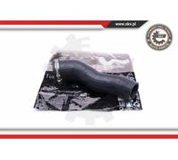 ESEN SKV Tubo Admisión Apto para BMW 3er E46 318i 316i X5 E53 3.0d 3.0i