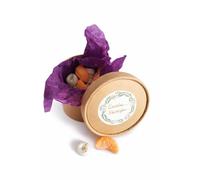 Esencia a Mora Wax Melts Canela y Naranja en Caja Regalo - Figuras Aromáticas Premium - Aroma Intenso Gran Velada - Hechas a Mano