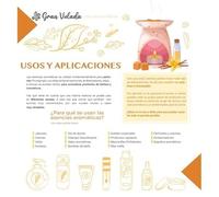 Esencia mango mandarin (250 ml)