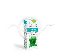 Esential Aroms Aceite esencial Citronela de Ceilán 10 ml - uso aromático y oral