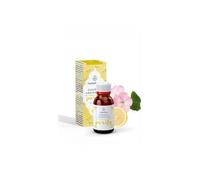 Esential Mist Aromática Purify 15ml