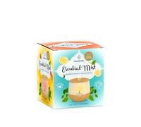 Esential'Arôms Humidificador Esential'Mist 1ud