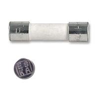 Eska - Lote de 10 fusibles temporizados (T), cristal, 1,6 A, 250 V CA, 5 x 20 mm