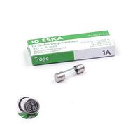 Eska - Lote de 10 fusibles temporizados (T), cristal, 250 VAC, 5 x 20 mm