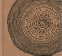 Eskimeaux Year of the Rabbit (CD) Deluxe Album