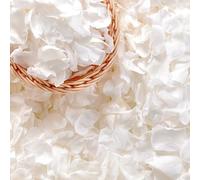 Eslibin Más de 500 pétalos de rosa blancos reales, 4.57 onzas (130 g), pétalos de flores blancas preservados para boda, pétalos de flores secas para baby shower, fiesta nupcial, decoración de mesa de