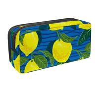 Eslifey Estuche para lápices, flores de manzanilla, gran capacidad, bolsa para lápices de papelería, Multicolor 5, 2.3x8.2x3.9in/6x21x10cm, Estuche de belleza