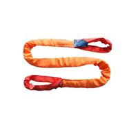 Eslingas de elevación para Cargas Pesadas, Capacidad de Carga de 5 T, Correas de elevación de Alta Resistencia, Eslinga Redonda sin Fin para Remolque, manipulación, fábricas(2.5M)