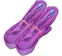 Eslingas redondas profesionales de 1 m y 1 t, cinta de elevación, ENorm1492-2, moradas (juego de 2 unidades)