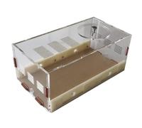 esmen Castillo de Hormigas acrílico Transparente de 21 cm: Juego de Aprendizaje de popularización científica, Estudio del hábitat de Las Hormigas y Granja de nidos Caseta para Mascotas