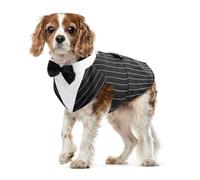 Esmoquin de Perro, Smoking para Perros Set Traje y Bandana para Boda Camisa de Pajarita Elegante Formal Ropa Abrigos para Fiesta de Cumpleaños Boda Navidad Halloween Party(Rayas Negro, M)