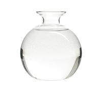 Esncddym Avocado Seed Germination Vase,Glass Avocado Seed Sprout Germination Vase, Clear Avocado Tree Growing Kit Pot, Avocado Tree Growing Kit Glass Vases Seed Plant Vase for Gardening Lover