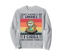 Eso es lo Que Hago Fumo, me enfríe y sé Cosas Sudadera