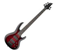 ESP LTD B-205DX Red Burst