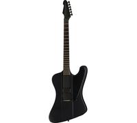 ESP LTD Phoenix Black Metal BLKS