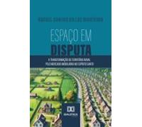 Espaço Em Disputa (ebook)