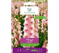 Espada Adrenalin, color salmón oscuro, 5 unidades.