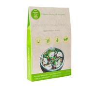Espaguetis de Konjac con Albahaca | Pasta Funcional de Shira-taki | Sin Gluten (SG) | 100% Vegan | Formato 200g