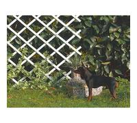 Espaldera semirredonda Trelliflex (An x Al: 1 x 2 m, Extensible, Blanco)