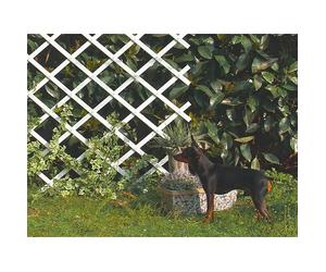 Espaldera semirredonda Trelliflex (An x Al: 1 x 2 m, Extensible, Blanco)
