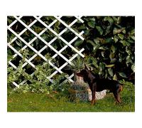 Espaldera semirredonda Trelliflex (An x Al: 1 x 3 m, Extensible, Blanco)