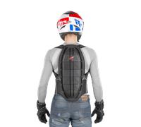 Zandona Shield Evo Protector de espalda, negro, tamaño XL