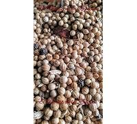 Especias Caracoles 1000 grs - Caracoles 1 Kg