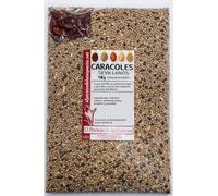 Especias Caracoles Extra Sevillano 1000 grs - Caracoles Categoria A - Mezcla con Toque Extra de Pimienta Negra + Guindilla Incluida - El Paraíso de las Especias