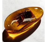 Espécimen de resina ámbar para insectos, libélula, mariposa, cigarra, escorpión, escarabajo, avispa, cangrejo, ciempiés, 8 x 4 cm, exhibición educativa y coleccionable, pisapapeles amarillo limón